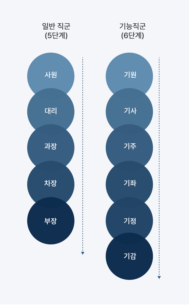 일반 직군 5단계 직급체계